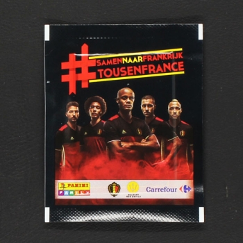 Euro 2016 Panini sticker bag version