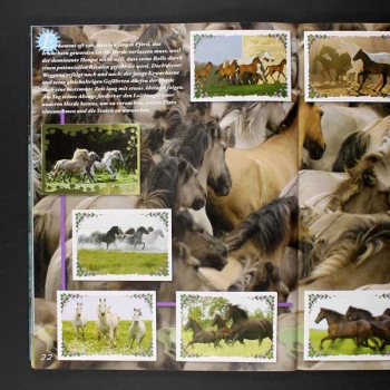 Pferde in freier Wildbahn Panini Sticker Album