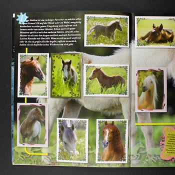 Pferde in freier Wildbahn Panini Sticker Album