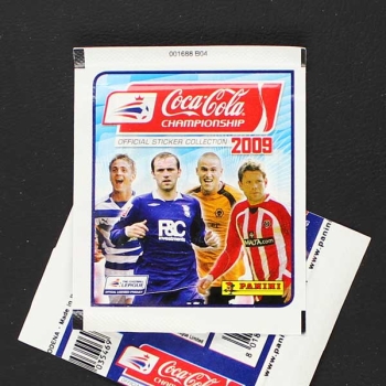 Coca Cola Championship Collection 2009 Panini Sticker
