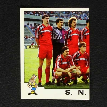 Euro 92 No. 164 Panini sticker S.N.G. left