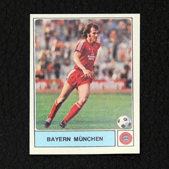 Martin Jol Panini Sticker No. 255 - Fußball 79