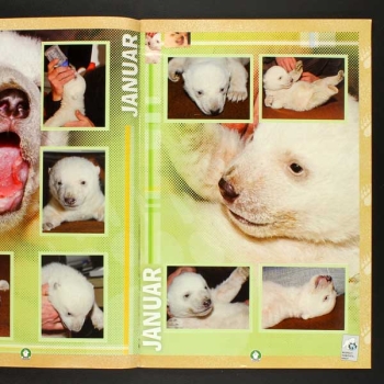 Knut Preziosi Sticker Album komplett