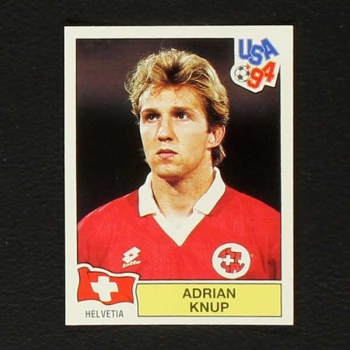 USA 94 Nr. 028 Panini Sticker Adrian Knup