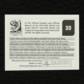 South Africa Team Panini Sticker No. 30 - South Africa 2010