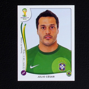 Brasil 2014 Nr. 034 Panini Sticker Julio Cesar