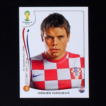 Brasil 2014 Nr. 060 Panini Sticker Ognjen Vukojevic