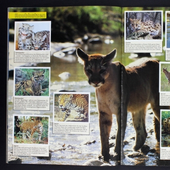 Preview: Wendy, Tiere die unseren Schutz brauchen Ehapa Album komplett