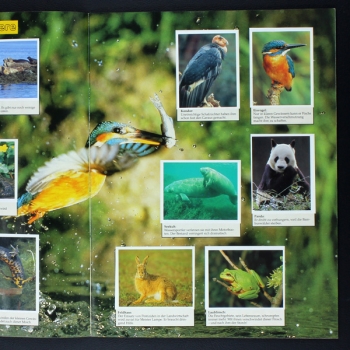 Preview: Wendy, Tiere die unseren Schutz brauchen Ehapa Album komplett