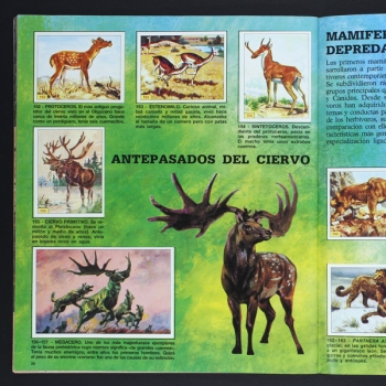 Animales Prehistoricos Panini album complete - E