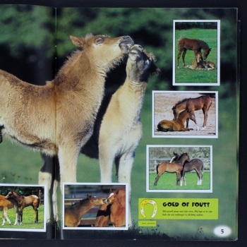 Mijn Vrienden de Paarden Panini Sticker Album komplett - NL