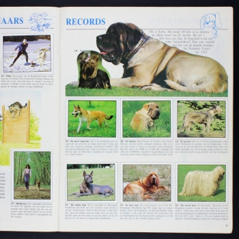 Huisdieren Panini Sticker Album komplett - NL