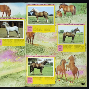 Pferde - Alles über deine Lieblinge Panini Sticker Album komplett
