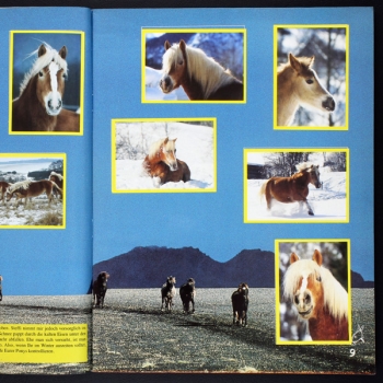 Pferde & Ponys Hobby Panini Sticker Album komplett