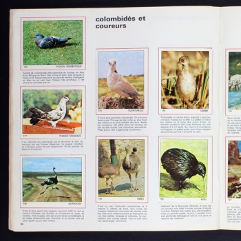 Le monde des Animaux 1970 Panini Sticker Album teilgefüllt - NL