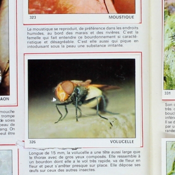 Le monde des Animaux 1970 Panini Sticker Album teilgefüllt - NL