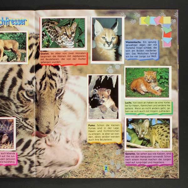 Tierebabies Panini Sticker Album