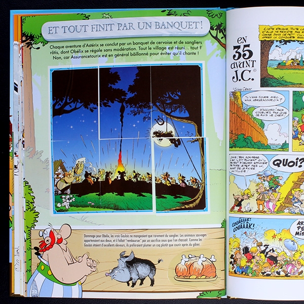 Asterix 60 Panini sticker album complete - F