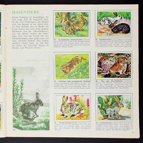 Säugetiere Panini Sticker Album komplett