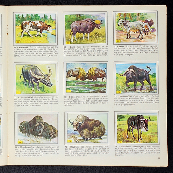 Säugetiere Panini Sticker Album komplett