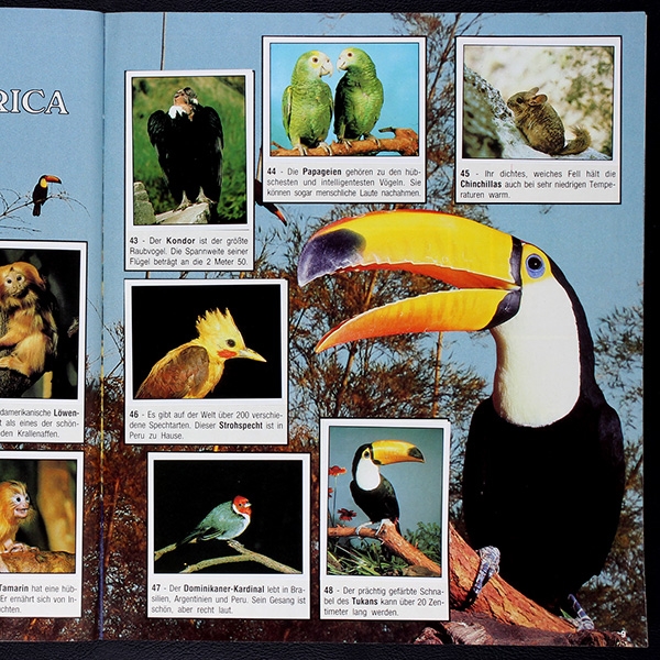 Animals Panini Sticker Album komplett
