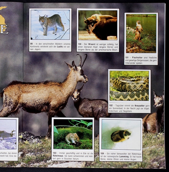 Animals Panini Sticker Album komplett