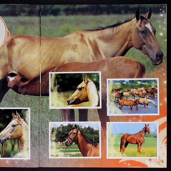 Hoch zu Ross Panini Sticker Album komplett