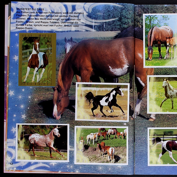 Hoch zu Ross Panini Sticker Album komplett