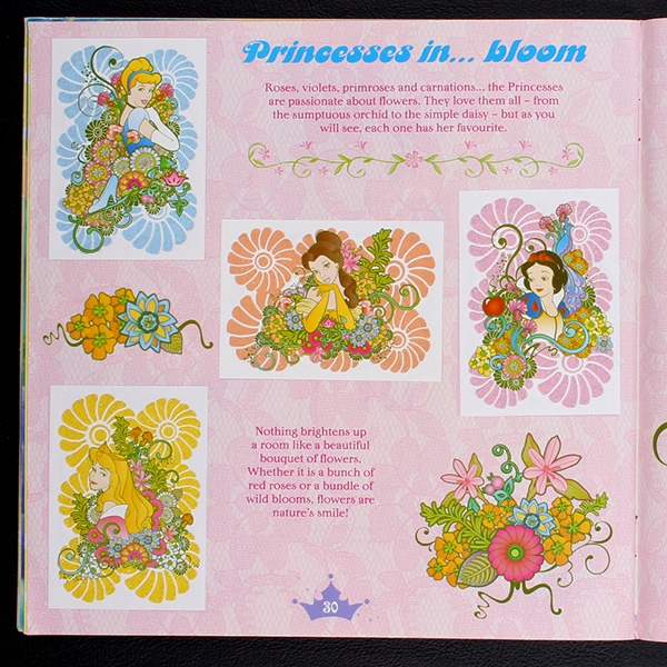 My Princesses Panini sticker album complete - GB