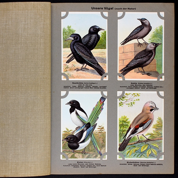 Unsere Vögel 2 Kaisers Gmbh collection album complete