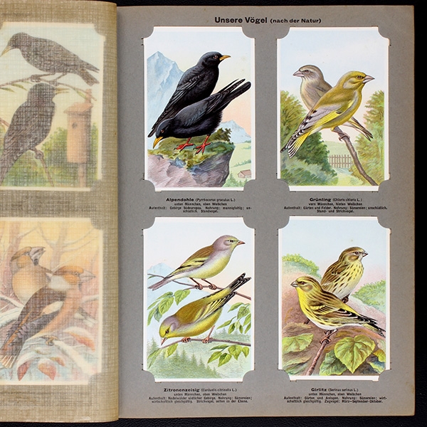 Unsere Vögel 2 Kaisers Gmbh collection album complete