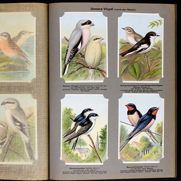 Unsere Vögel 2 Kaisers Gmbh collection album complete