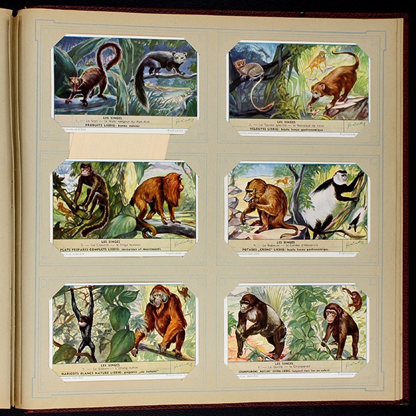 Liebig Cromos Album with 50 series