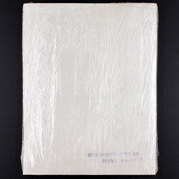 Champions League 1999 Panini Sticker Album komplett - Original Set