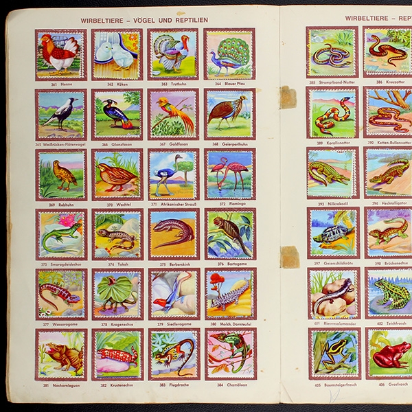 Die schönsten Tiere Sicker Verlag Album komplett