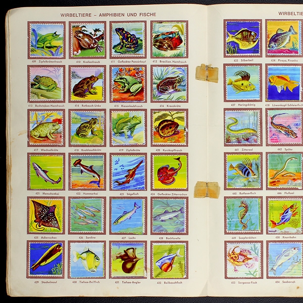 Die schönsten Tiere Sicker Verlag Album komplett