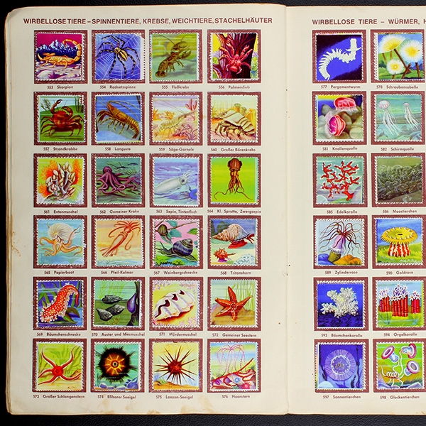 Die schönsten Tiere Sicker Verlag Album komplett