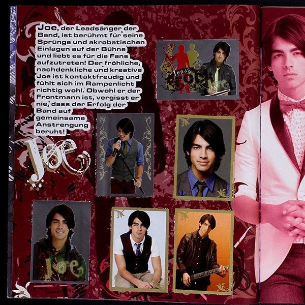 Jonas Panini sticker album complete