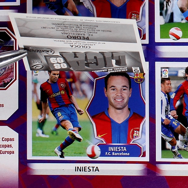 Liga 2008 Panini Sticker Album komplett
