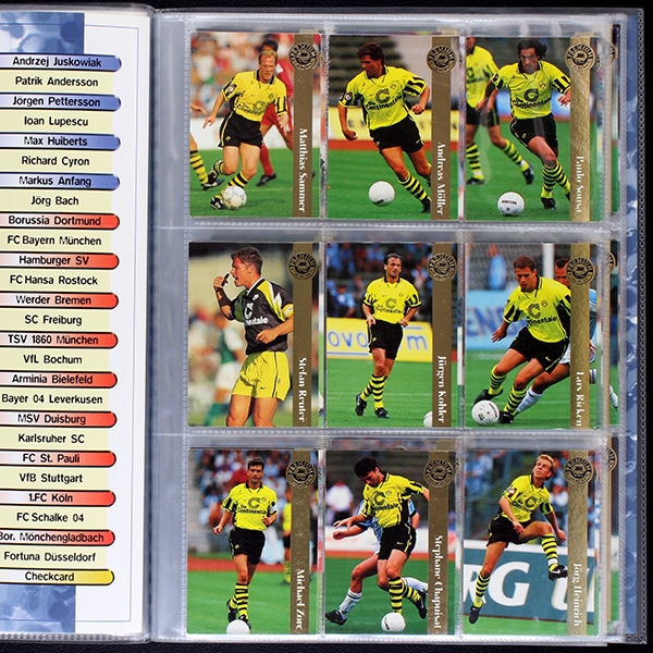 Premium Cards 96 Panini Trading Cards Album fast komplett