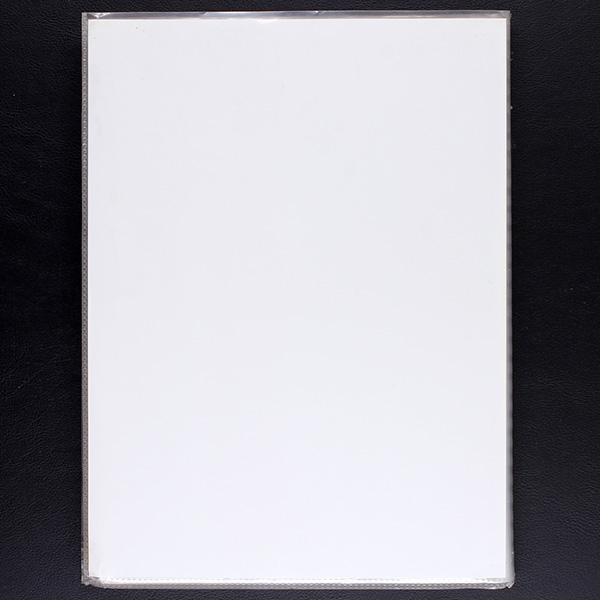 Fußball 95 Panini Trading Cards Album fast komplett