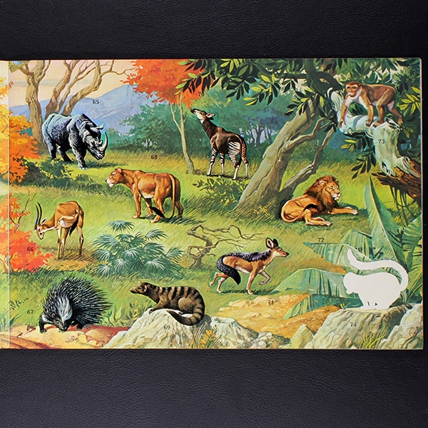 Super Zoo Panini album with stickers -11