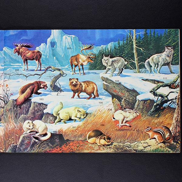 Super Zoo Panini album with stickers -11