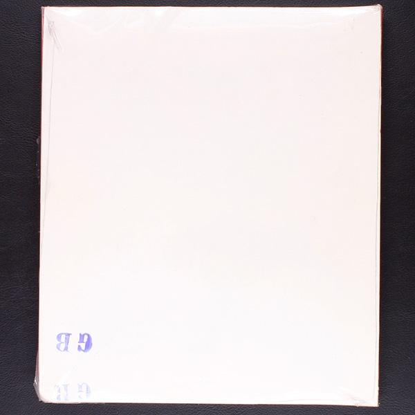 NBA Basketball 95 Panini Sticker Album komplett - Original Set