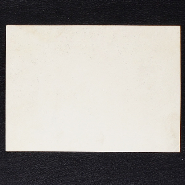 Bayern München Panini Poster Sticker Deutscher Meister - Fußball 86