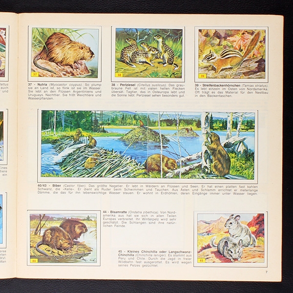 Säugetiere Panini Sticker Album komplett