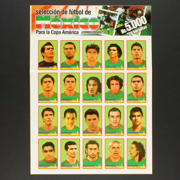 Copa America Venezuela 2007 Panini Sticker Album