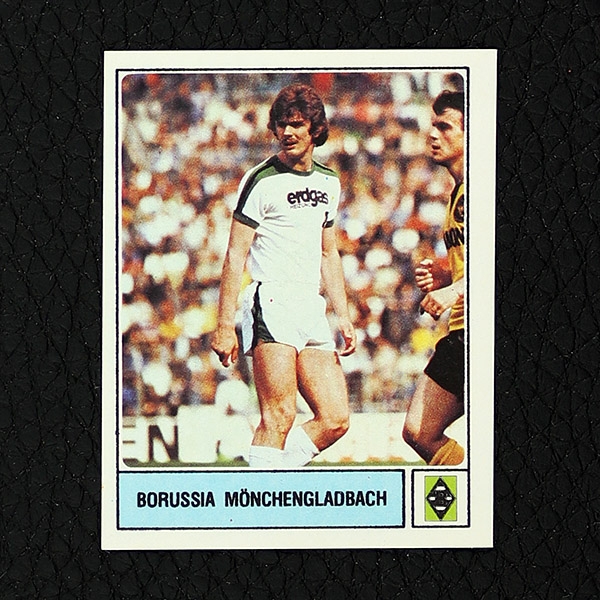 Wilfried Hannes Panini Sticker No. 234 - Fußball 79