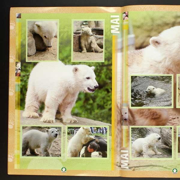 Knut Preziosi Sticker Album komplett