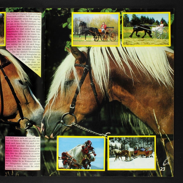 Pferde und Ponys Hobby Panini Sticker Album komplett